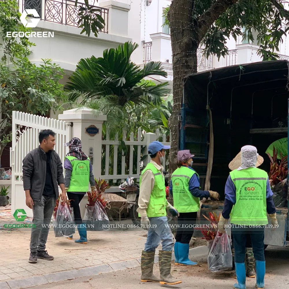 Công đoạn "lấp đầy" cảnh quan cần nhiều nhân lực lành nghề.